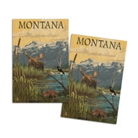 Montana, losa, planinska i močvarna scena