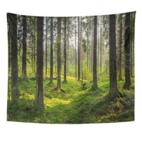 Zelena Forrest Dark Forest Karelia Drveće Scena Priroda Nature Wilderness Zidna umjetnost Viseća tapiserija