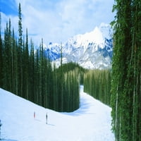 Turisti skijanje na pejzažu na snegu, Telluride, okrug San Miguel, Kolorado, SAD Poster Print