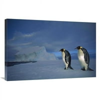 in. car penguin par na morskom ledu u ponoćnom sumraku, ekstroma ledena polica, antarktika Art Print