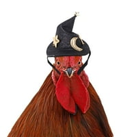 Fnohy carice Decor Chicken šešir za kokoši mini kućni ljubimci Modni pileći šešir sa elastičnim kaišem
