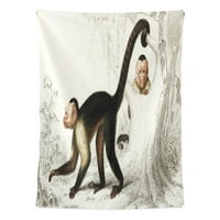 PopCritiation Spider Monkey Home Dekoracija Zidne tapiserije