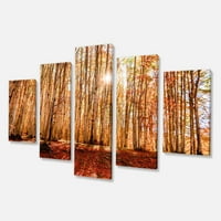 Dizajnerska umjetnost 'Svijetlo sunce preko guste jeseni šumski' fotografski otisak na zamotanom platnu