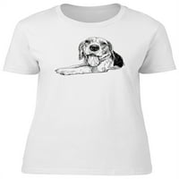 Beagle skica, slatki pas tee ženska -image by shutterstock